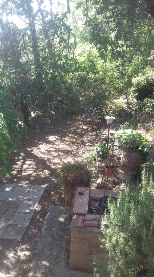 La Casa Di Lili Villa Lugnano in Teverina Buitenkant foto